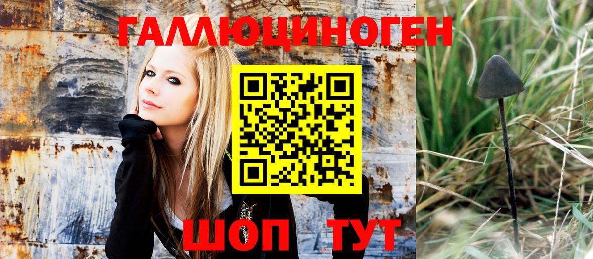 Псилоцибиновые грибы ЛСД  Вход с VPN  Дивногорск  Галлюциногенные грибы MAGIC MUSHROOMS 